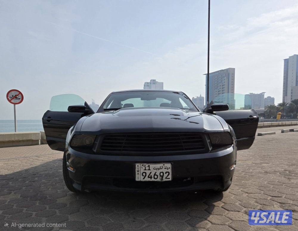 للبيع موستنق،٢٠١٠14