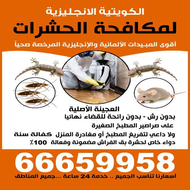 مصطفى / مشترك بحث1