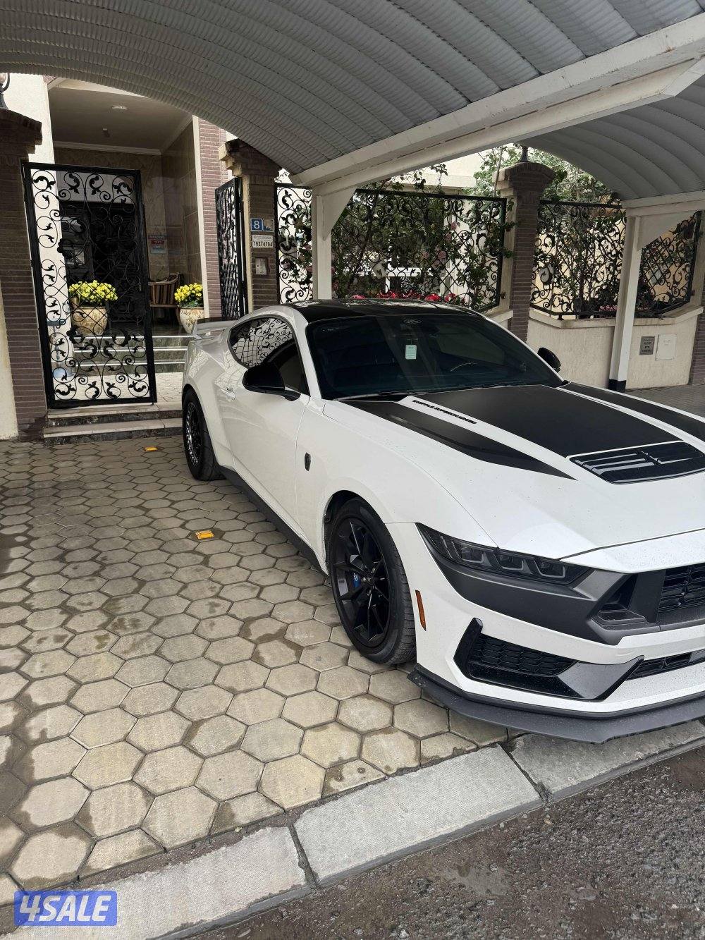 Darkhorse supercharged1