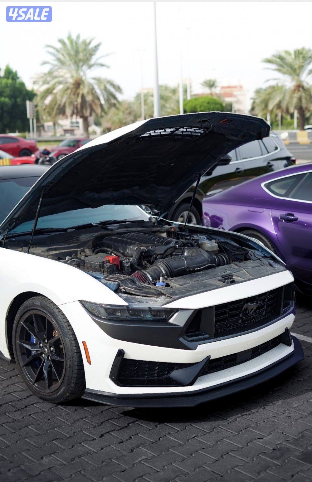 Darkhorse supercharged5
