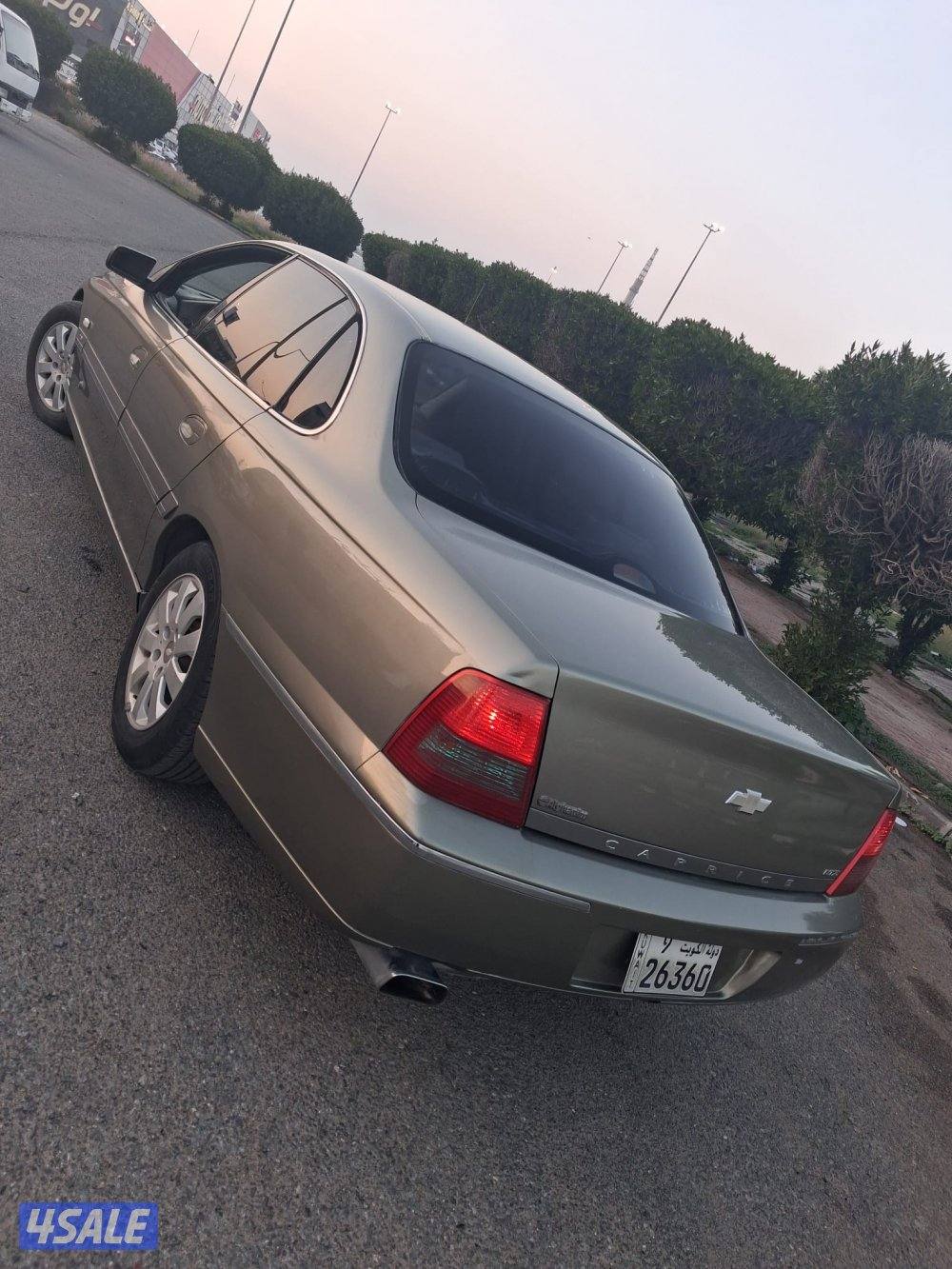 ٢٠٠٦  شفر كابرس1