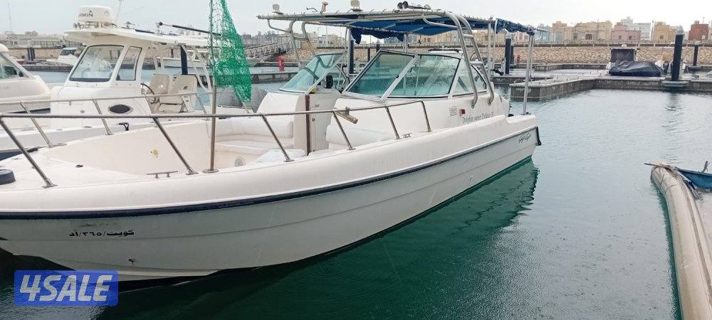 قالف كرافت دولفن ٣١0