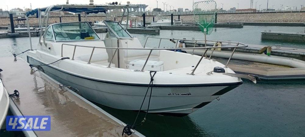 قالف كرافت دولفن ٣١1