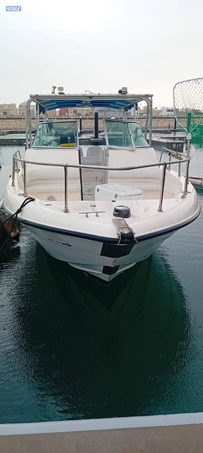 قالف كرافت دولفن ٣١2