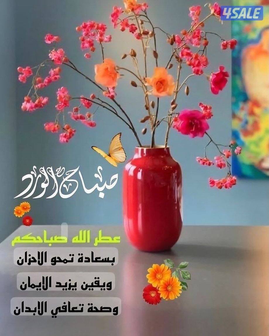 للايجار شقه بمبارك الكبير ٣غرف ٢حمام وصاله ومطبخ0