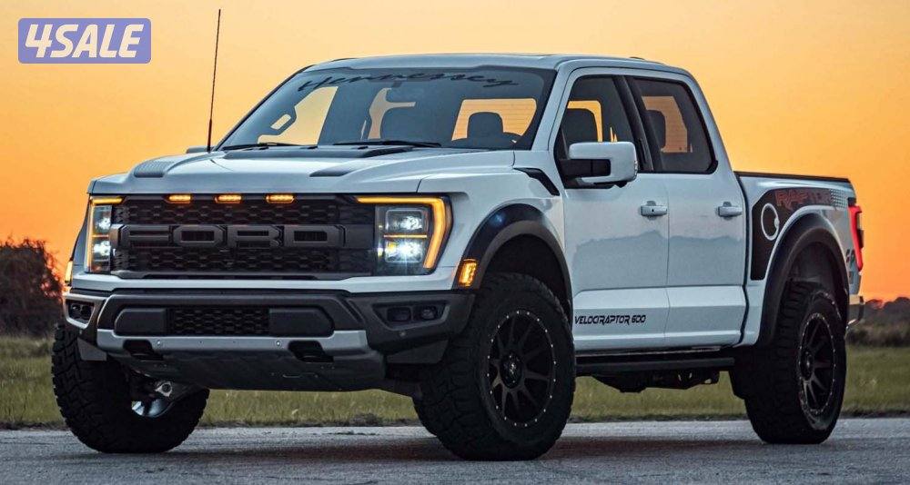 مطلوب رابتر0