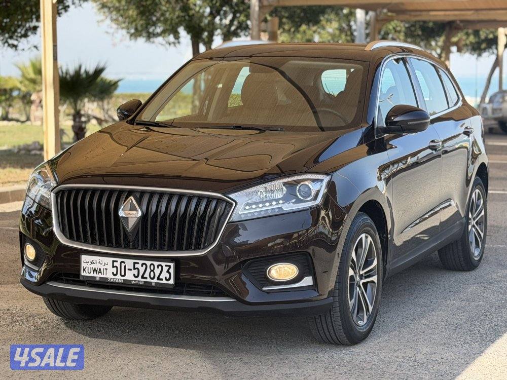 بورغوارد 20190