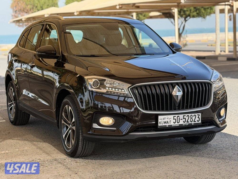 بورغوارد 20191