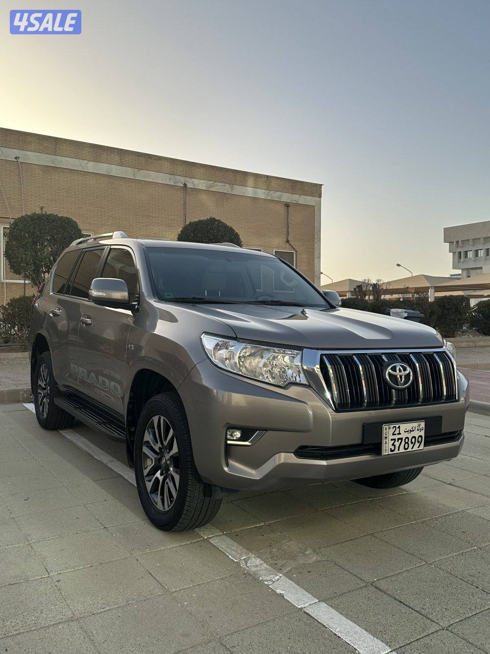 برادو اعلى فئه صبغ الوكاله 20220