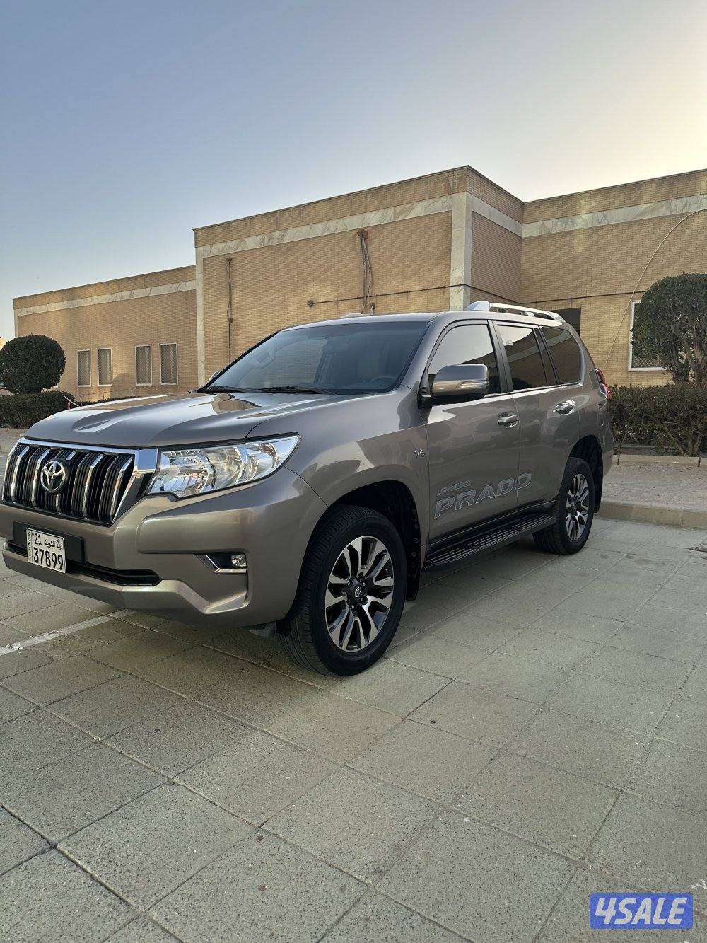 برادو اعلى فئه صبغ الوكاله 20221