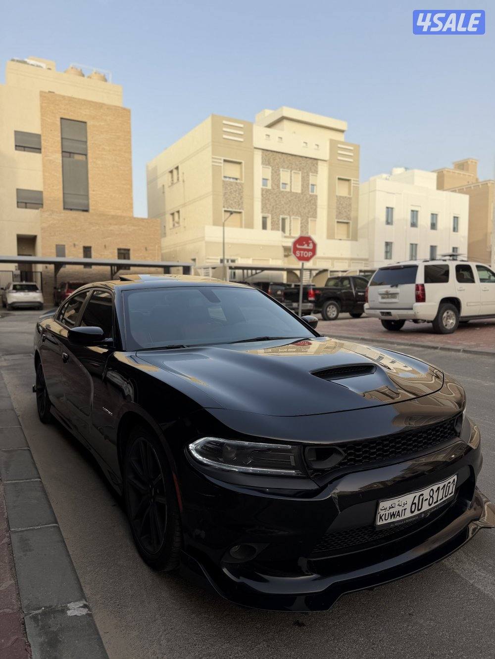 دودج تشارجر RT صبغ الوكاله1