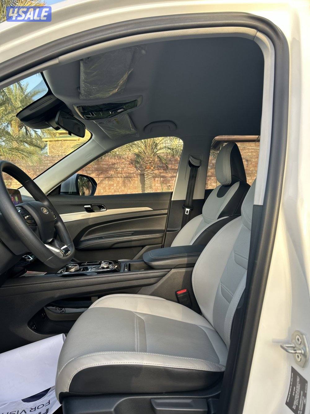 فورد تيريتوري 2024 صبغ الوكالة9