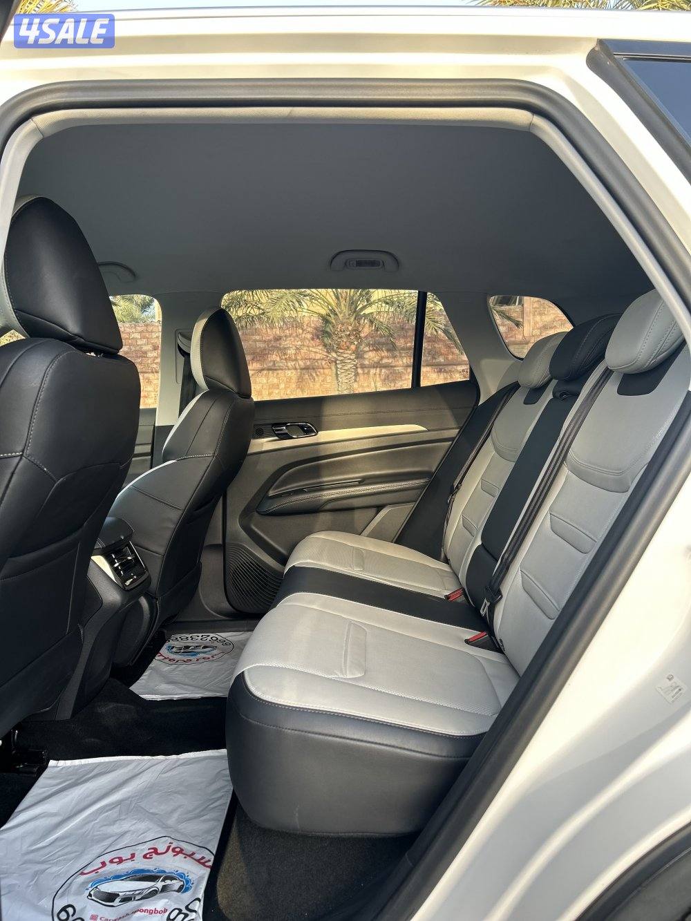 فورد تيريتوري 2024 صبغ الوكالة10