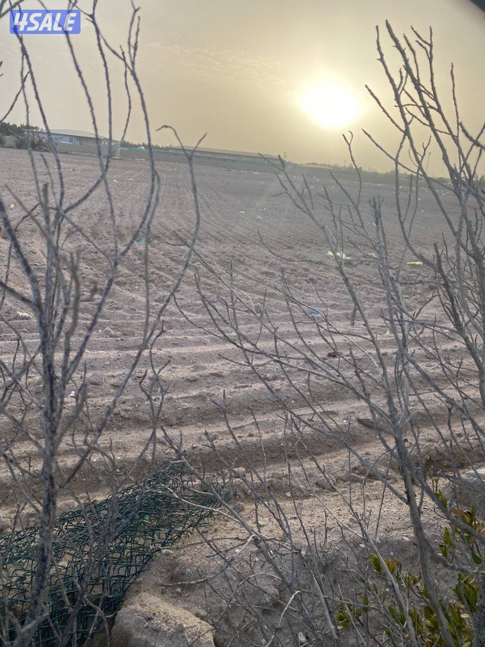 للبيع مزرعة في العبدلي0