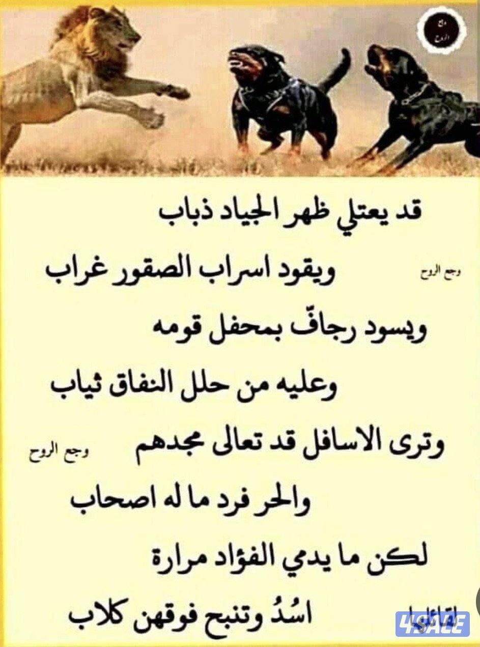 معلم اول لغة انجليزية2