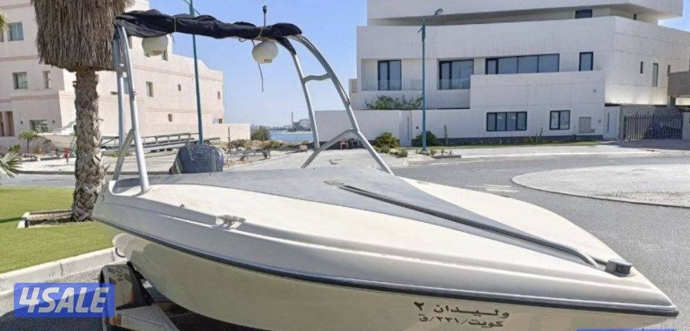 قلاسترون امريكي اصلي4