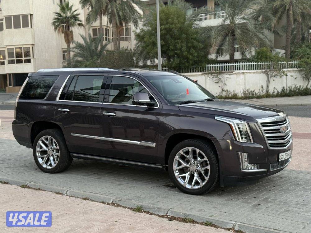 🔺كاديلاك اسكاليد بلاتنيوم الغانم الدرجة الأولى 🔺3