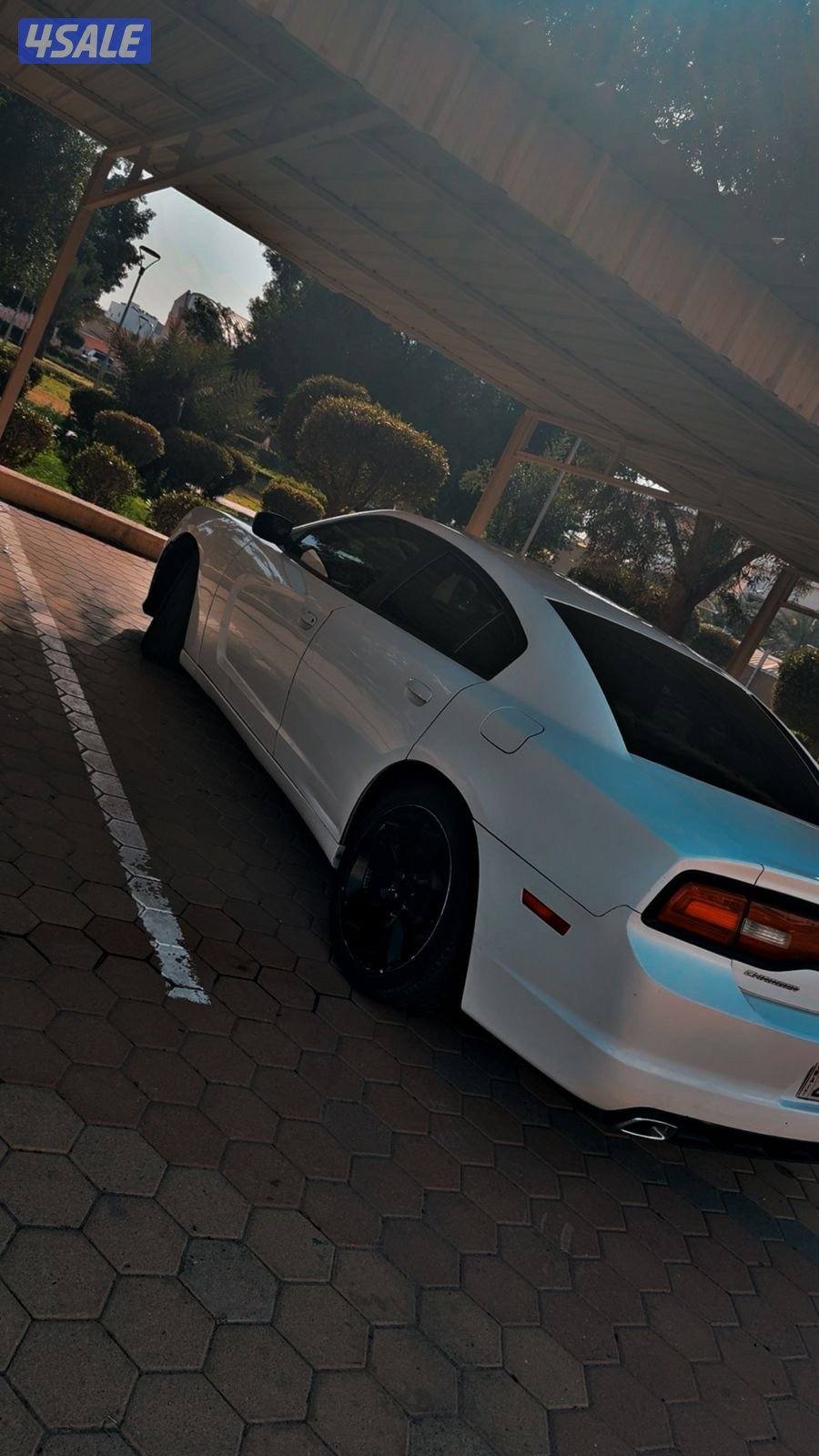 تشارجر SRT بحالة الوكالة نادر جدا5