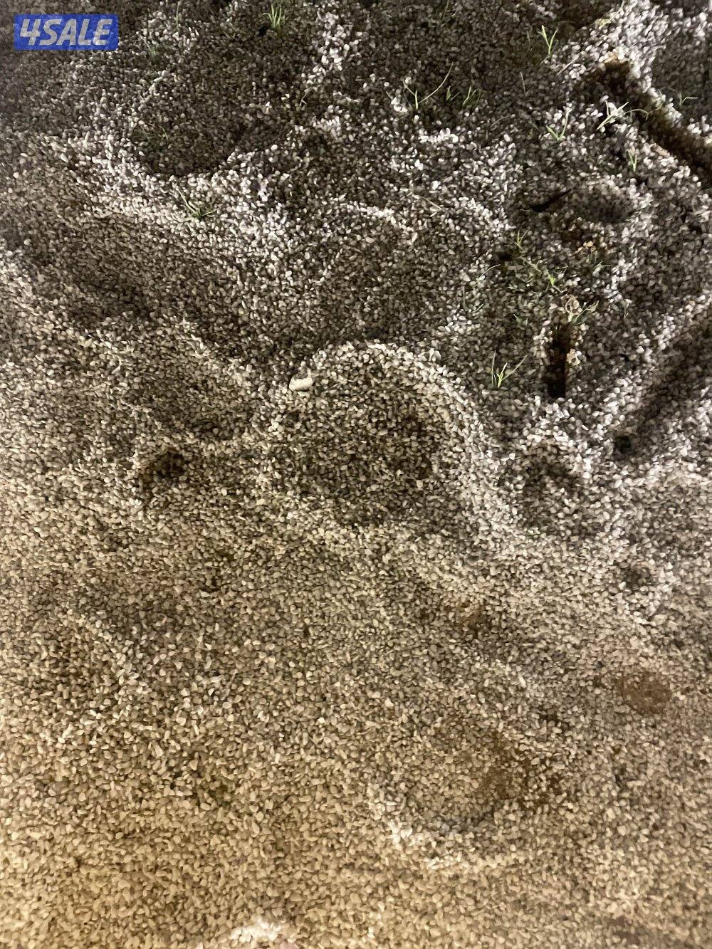 شاب بدون متزوج ابحث عن عمل0