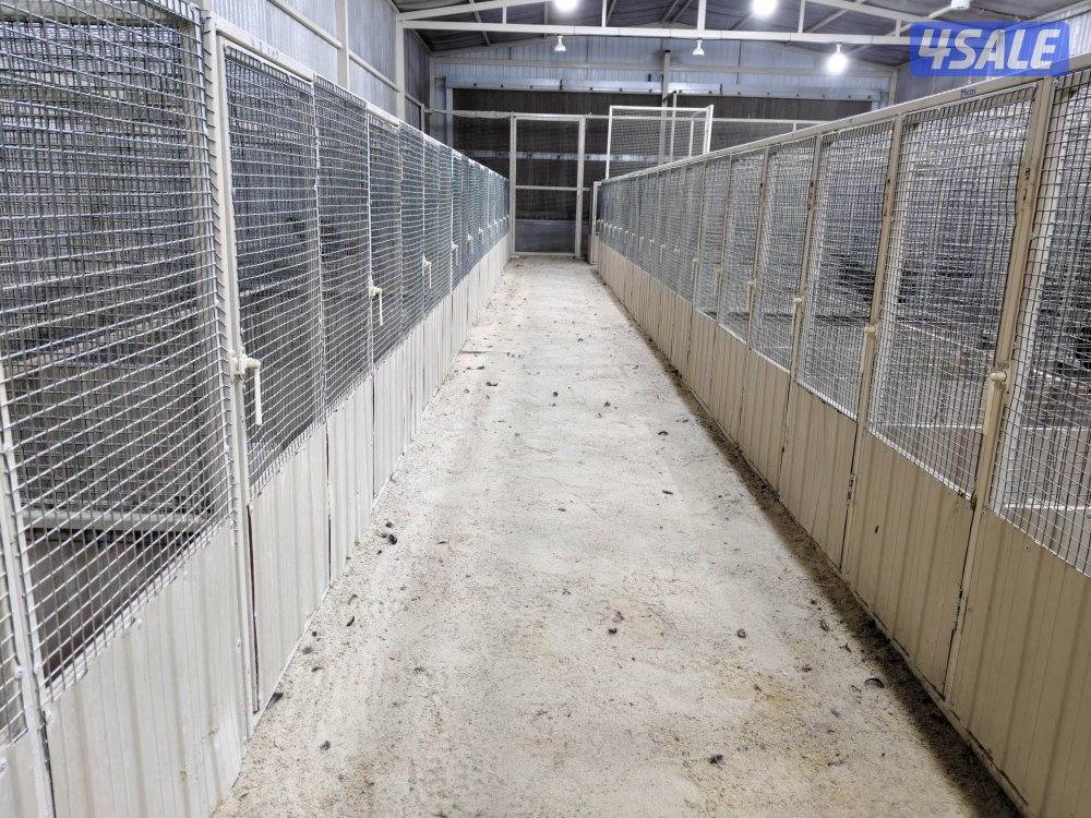 خانات للبيع للدواجن1