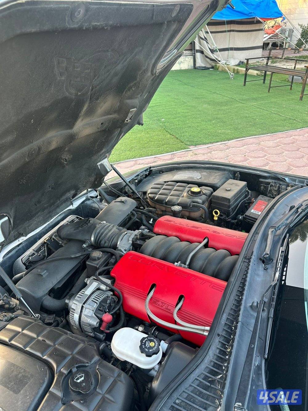 لعشاق النوادر5