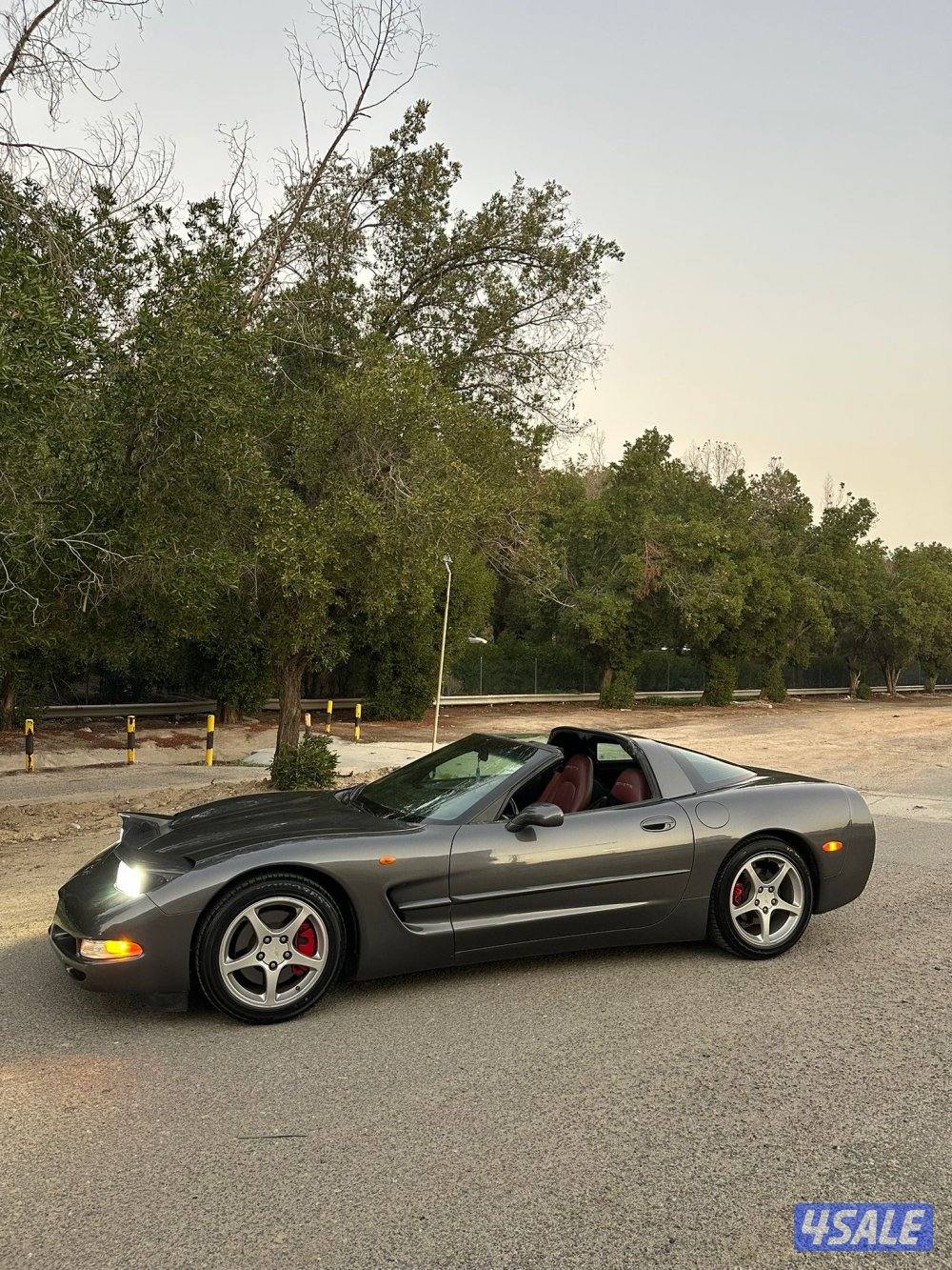 لعشاق النوادر9