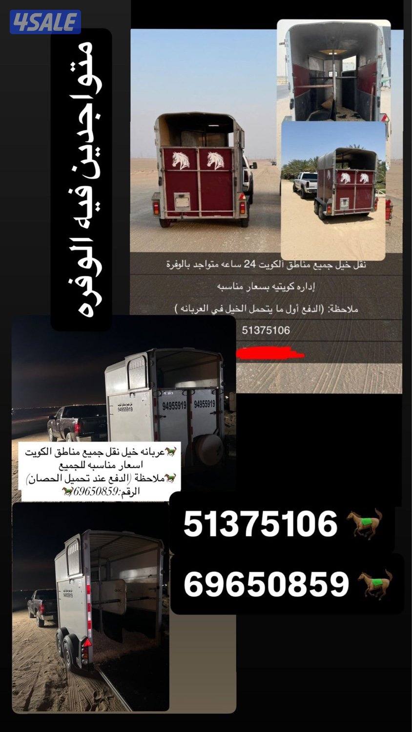 مربط خيل بالوفرة1