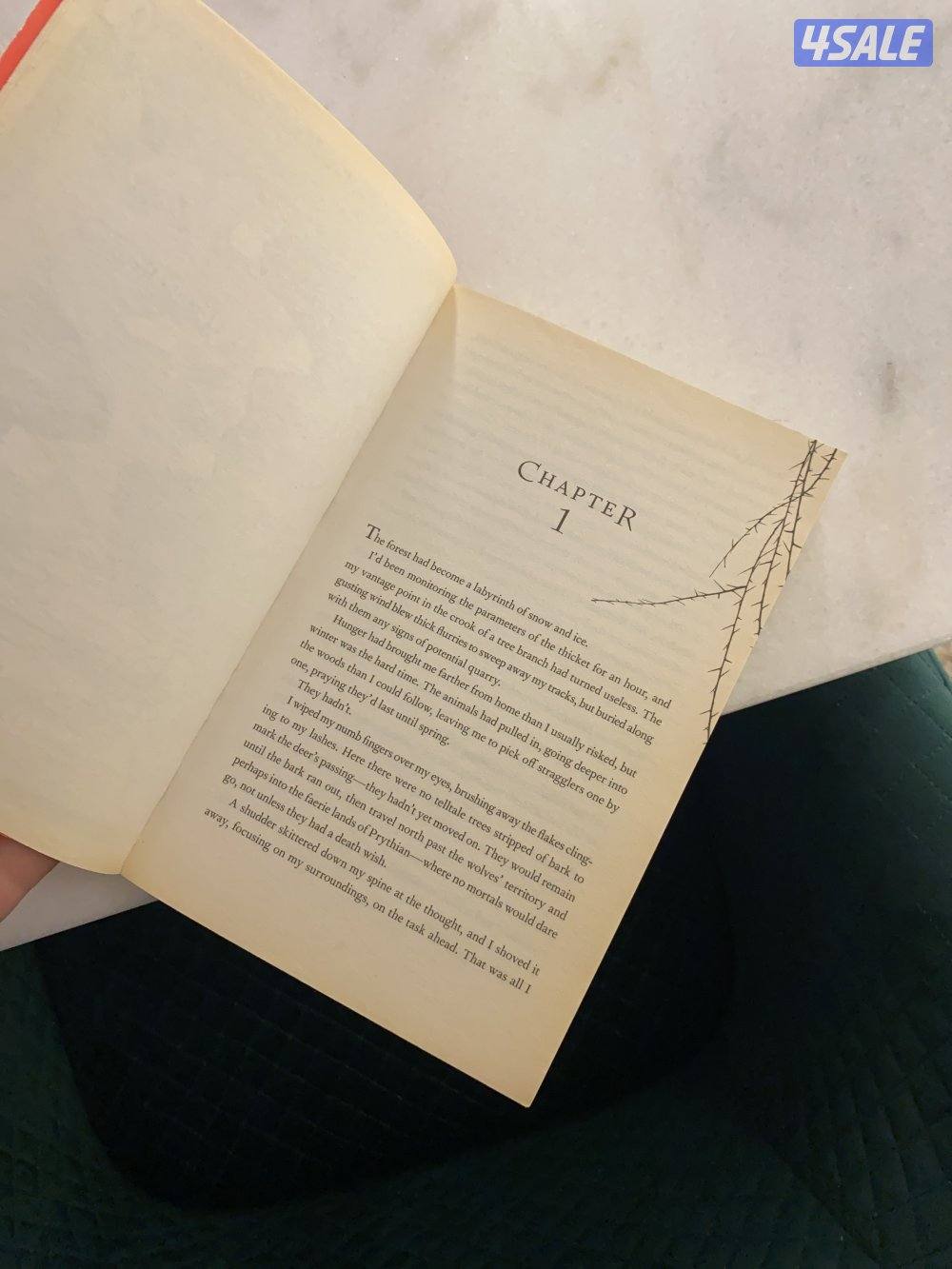 A Court Of Thrones And Roses by Sarah J. Maas4