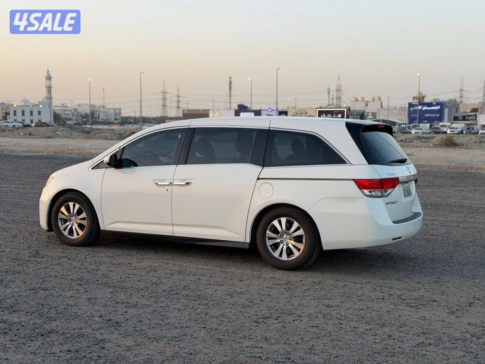 اودوسي 2014 صبغ وكالة11