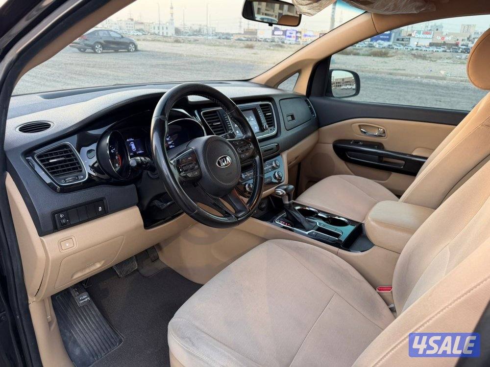 كرنفال 2020 نظيف ومرتب4