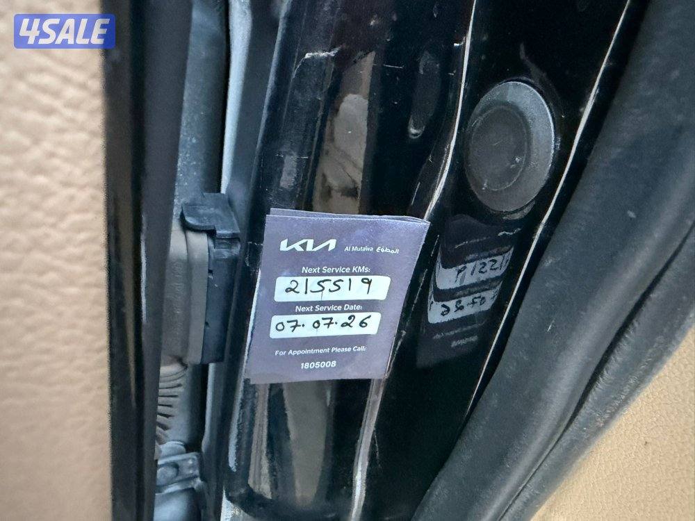 كرنفال 2020 نظيف ومرتب7