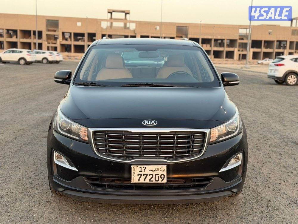 كرنفال 2020 نظيف ومرتب12