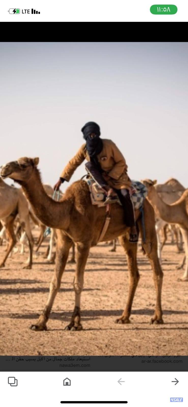 طلب ر ابل بنين0