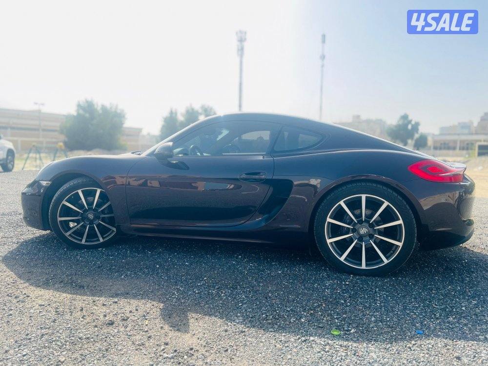 Porsche cayman 2014 Brown1