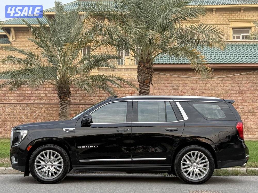 دينالي 2023 صبغ الوكالة2