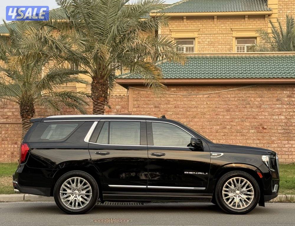 دينالي 2023 صبغ الوكالة1