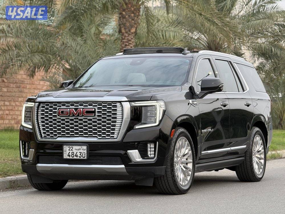 دينالي 2023 صبغ الوكالة3