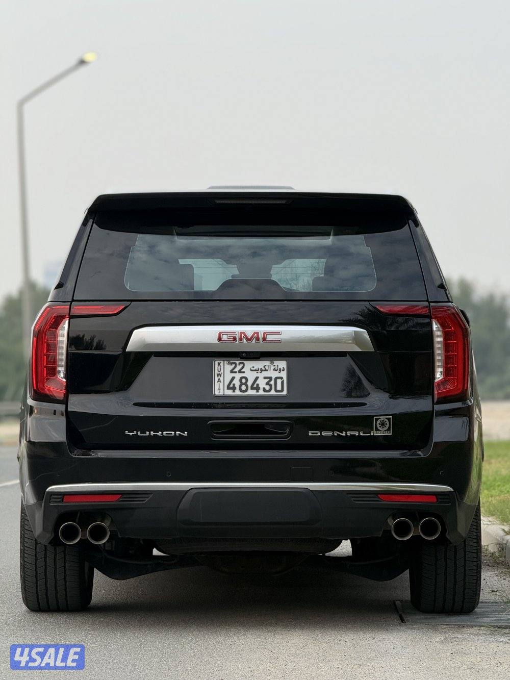 دينالي 2023 صبغ الوكالة4