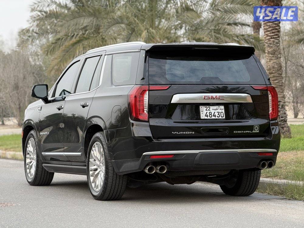 دينالي 2023 صبغ الوكالة8