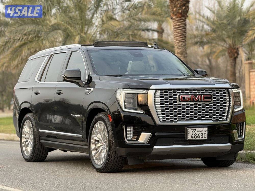 دينالي 2023 صبغ الوكالة9