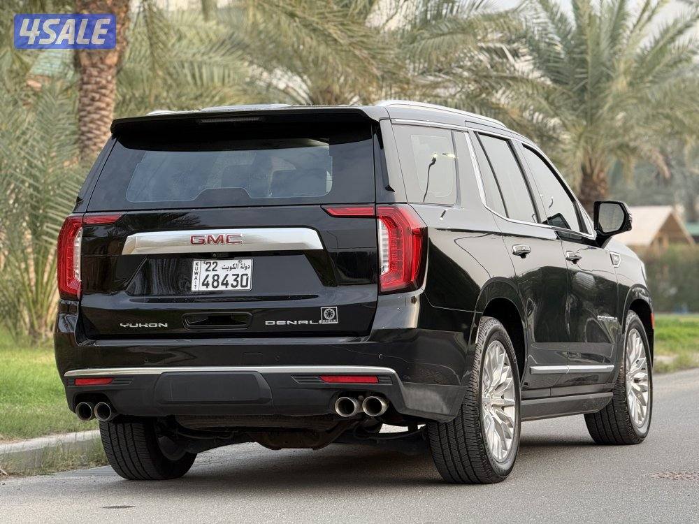 دينالي 2023 صبغ الوكالة10