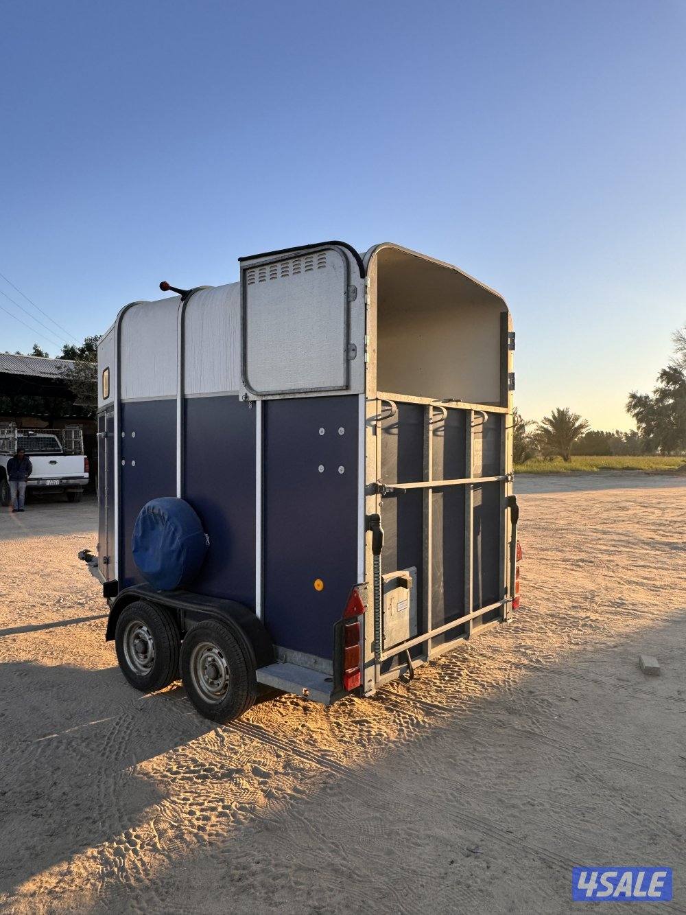 عربانة خيل انجليزية welliams2