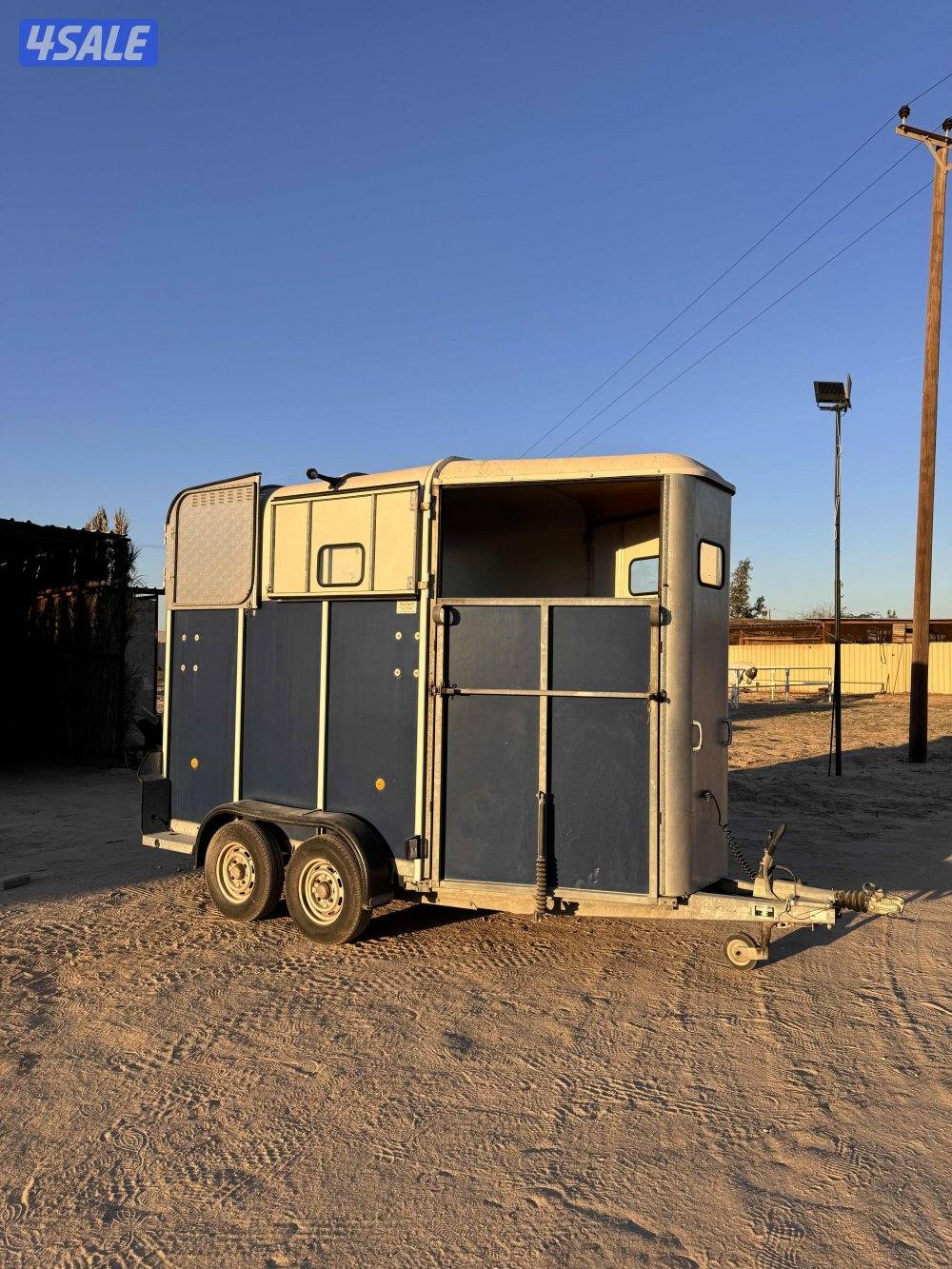 عربانة خيل انجليزية welliams3