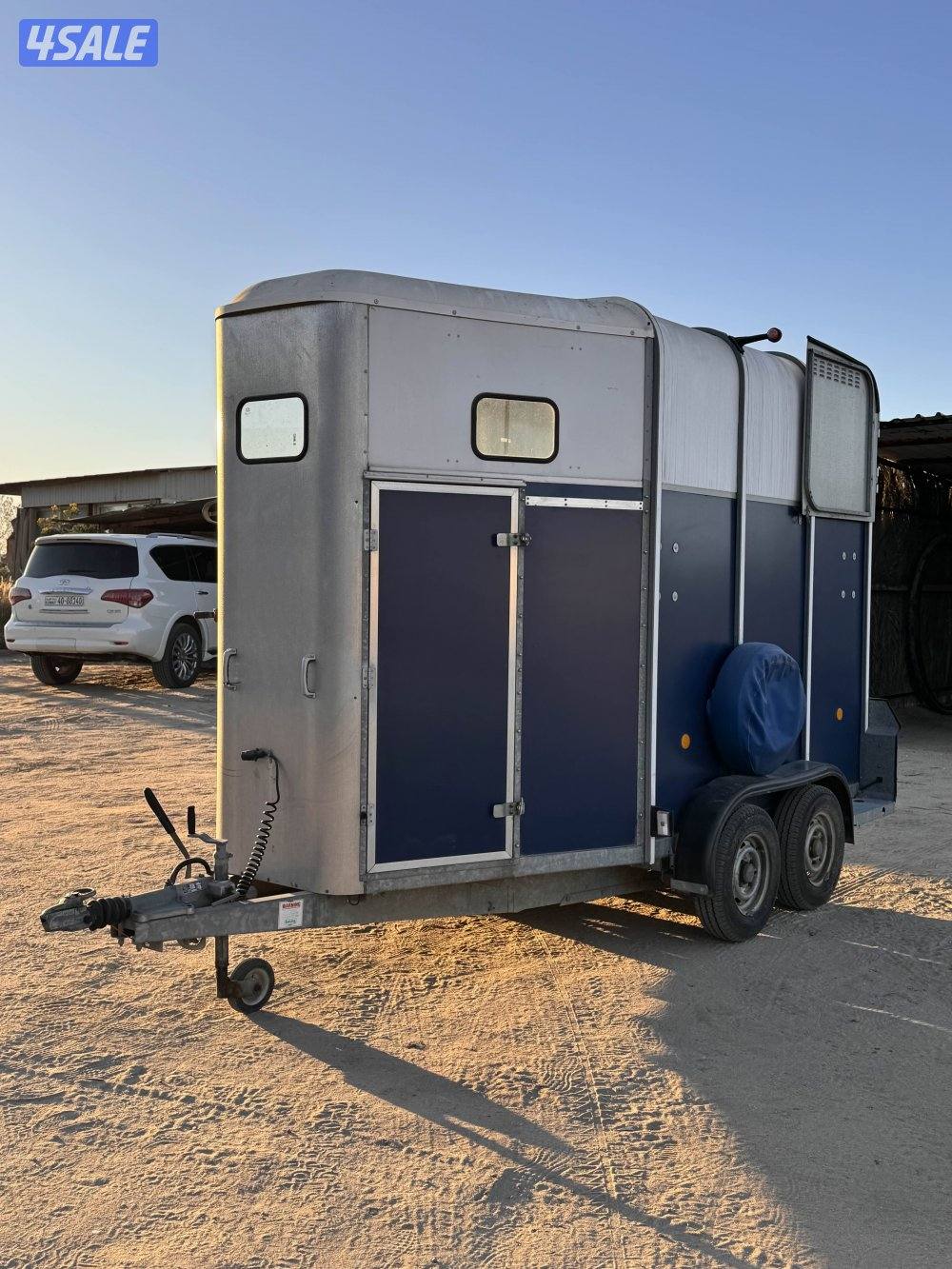 عربانة خيل انجليزية welliams5