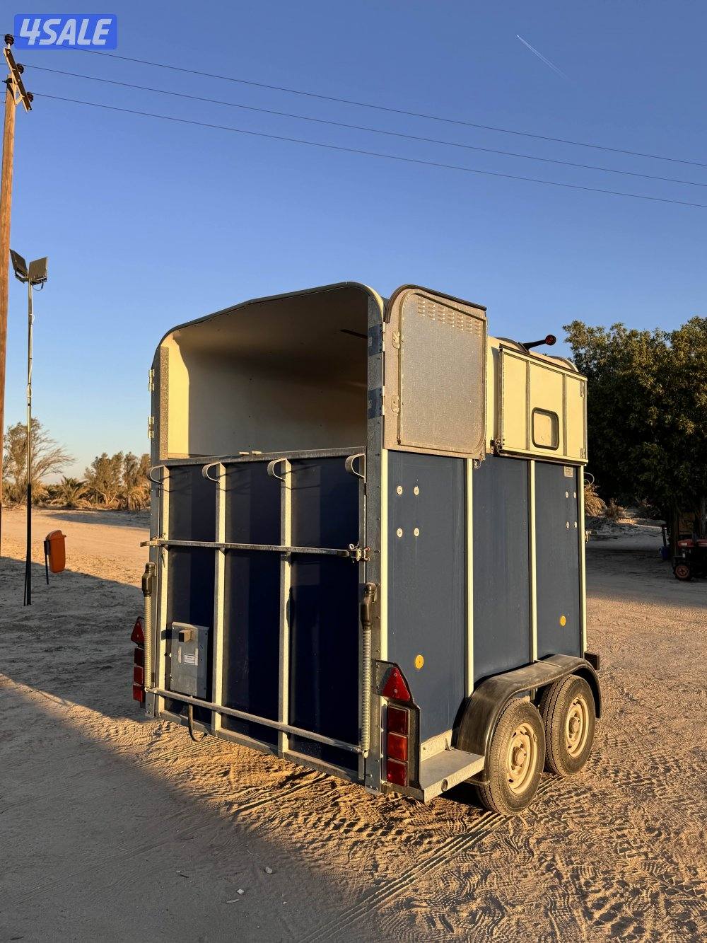 عربانة خيل انجليزية welliams8