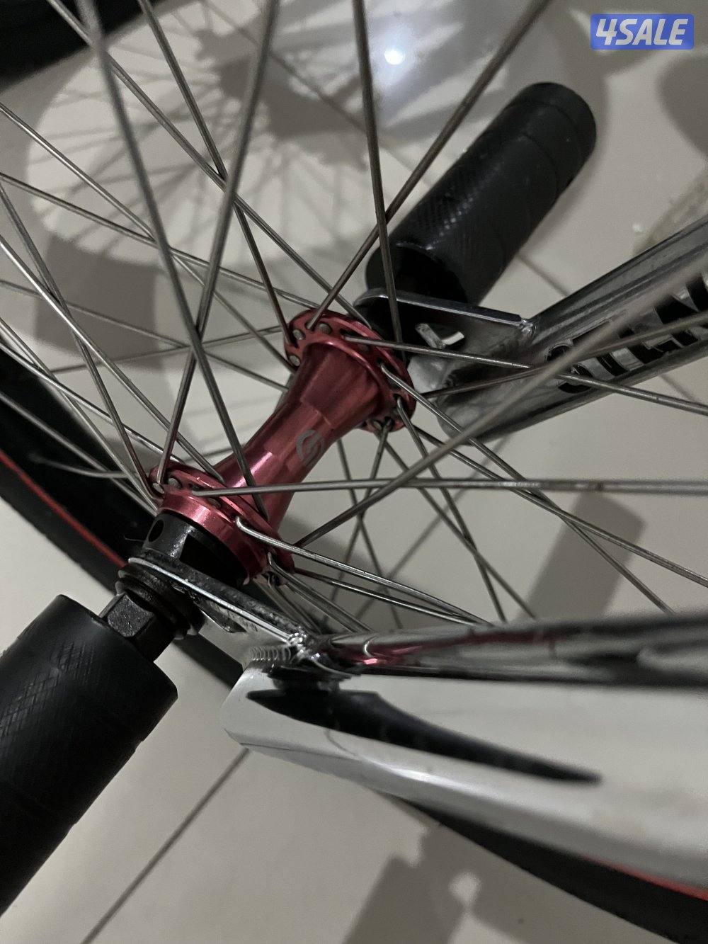 قاري ستولن اصلي2