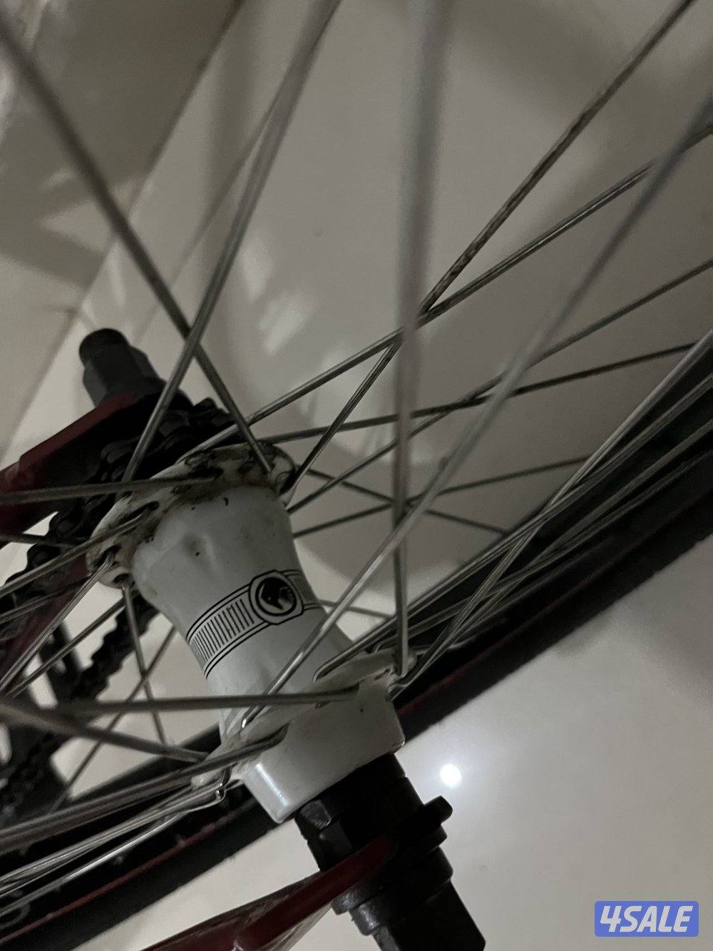 قاري ستولن اصلي4