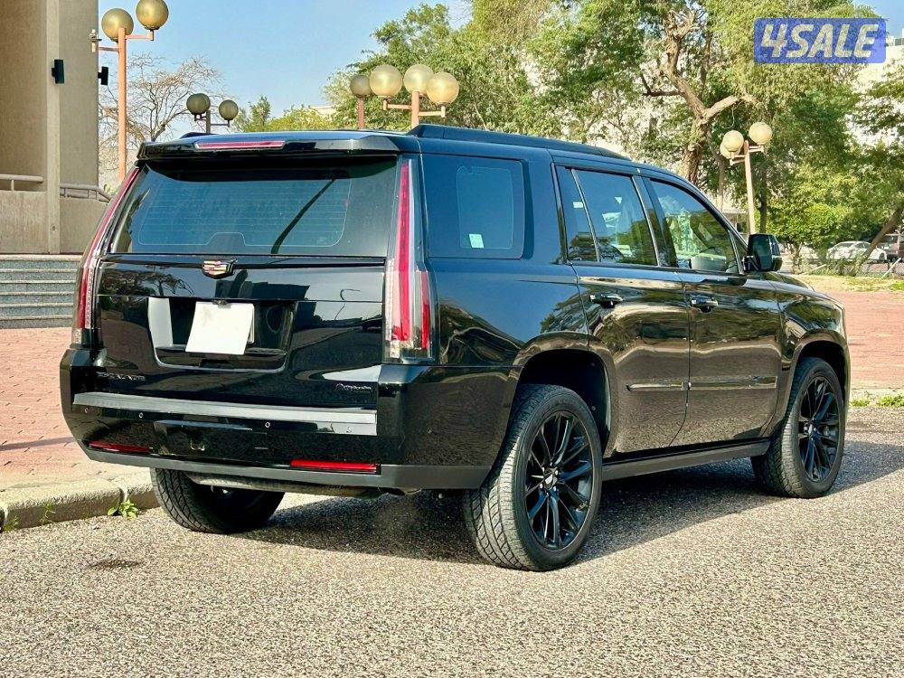 لاكجاري سبورت

عداد : 1594