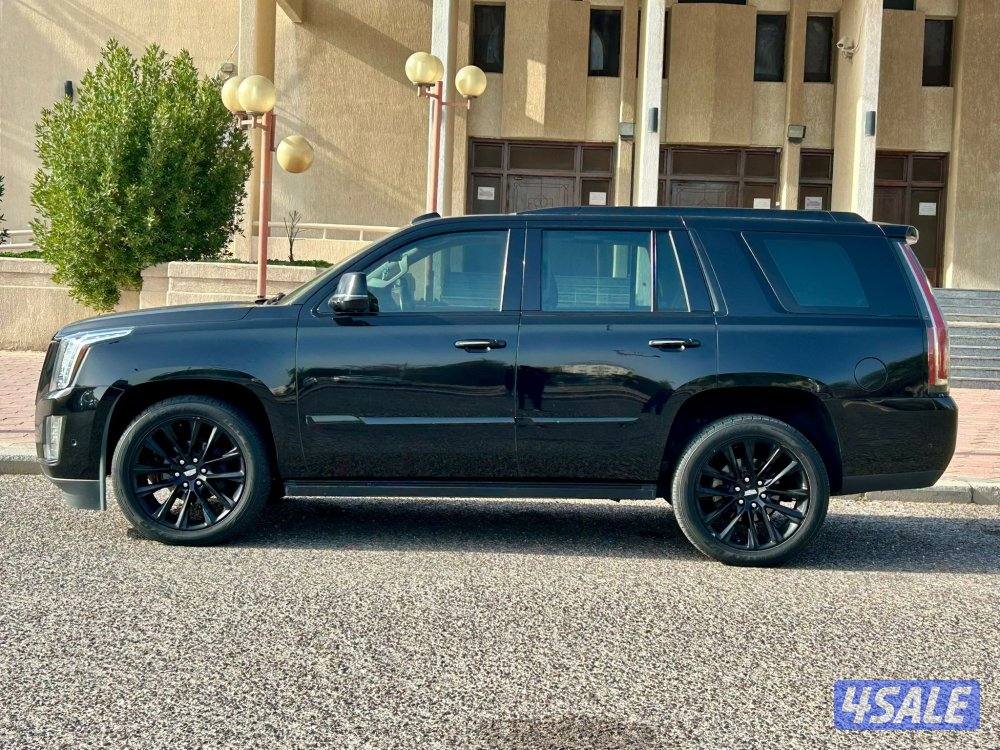 لاكجاري سبورت

عداد : 1595