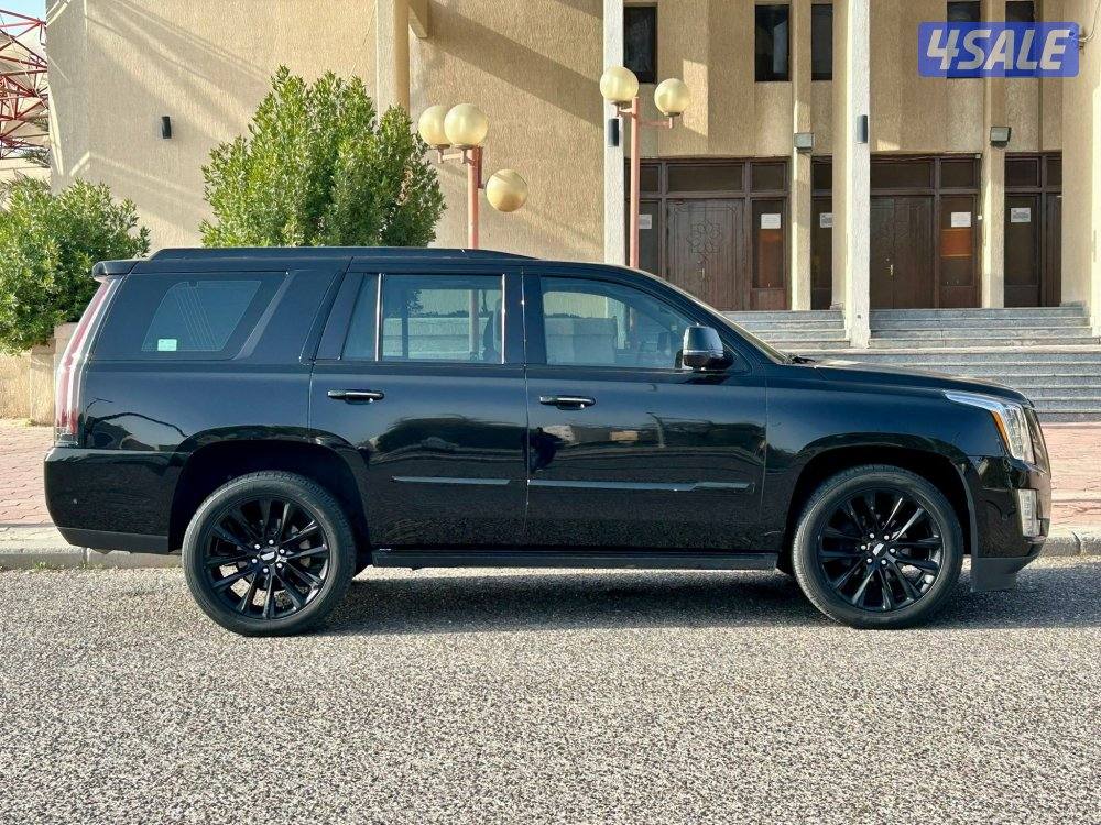 لاكجاري سبورت

عداد : 1596